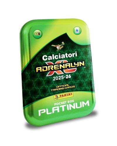 Pocket Tin Box PLATINUM