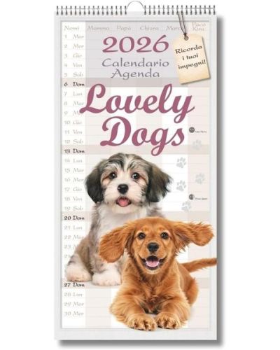 Calendario Lovely Dogs 2026 + Gioco per cani