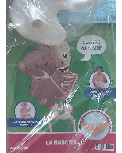 Costruisci Skelly - Il corpo umano parlante