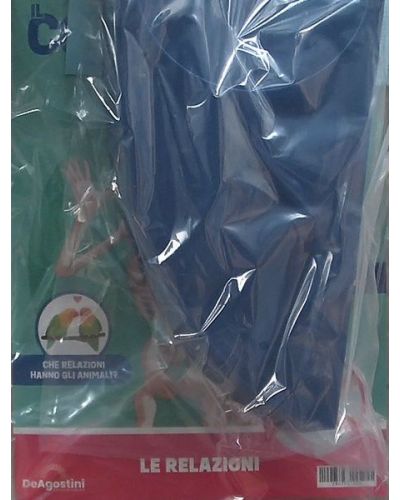 Costruisci Skelly - Il corpo umano parlante