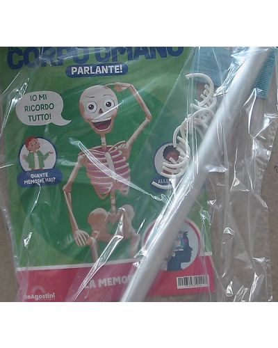 Costruisci Skelly - Il corpo umano parlante
