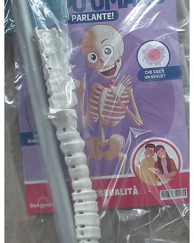 Costruisci Skelly - Il corpo umano parlante