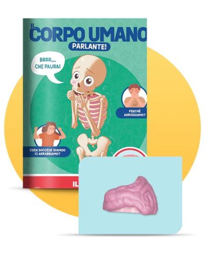 Costruisci Skelly - Il corpo umano parlante