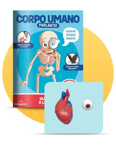 Costruisci Skelly - Il corpo umano parlante