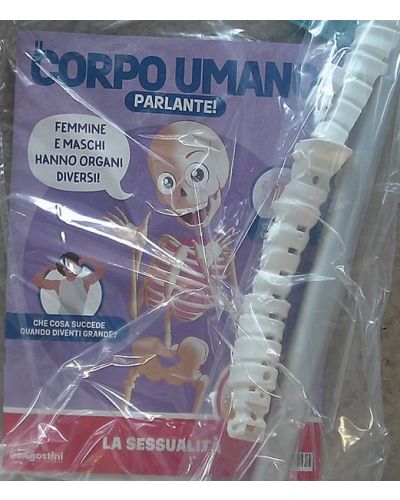 Costruisci Skelly - Il corpo umano parlante (ed. 2025)