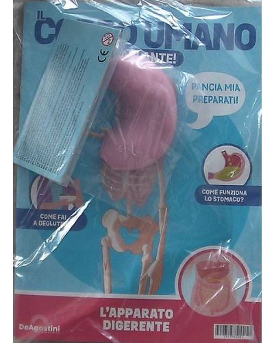 Costruisci Skelly - Il corpo umano parlante (ed. 2025)