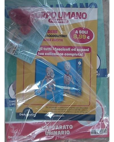 Costruisci Skelly - Il corpo umano parlante (ed. 2025)