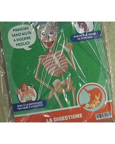 Costruisci Skelly - Il corpo umano parlante (ed. 2025)