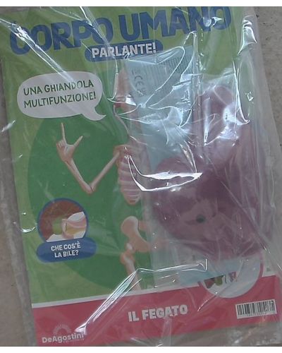 Costruisci Skelly - Il corpo umano parlante