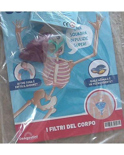 Costruisci Skelly - Il corpo umano parlante