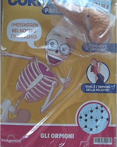 Costruisci Skelly - Il corpo umano parlante