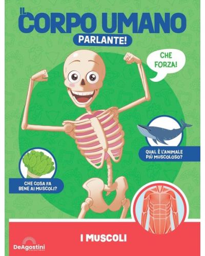 Costruisci Skelly - Il corpo umano parlante