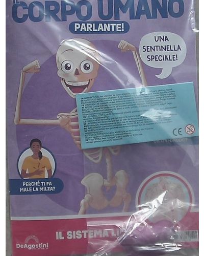 Costruisci Skelly - Il corpo umano parlante