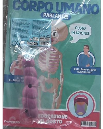 Costruisci Skelly - Il corpo umano parlante