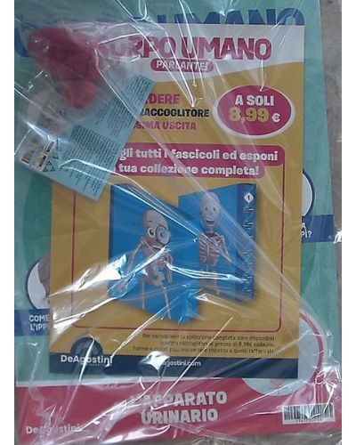 Costruisci Skelly - Il corpo umano parlante