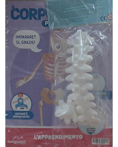 Costruisci Skelly - Il corpo umano parlante
