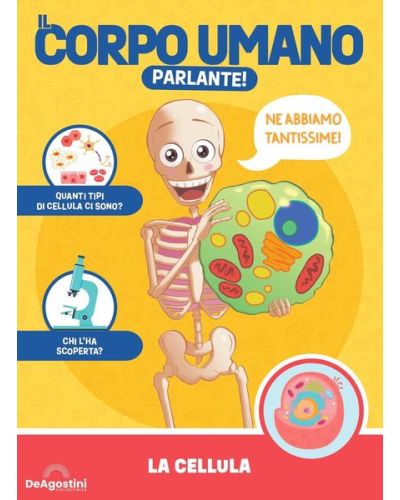 Costruisci Skelly - Il corpo umano parlante