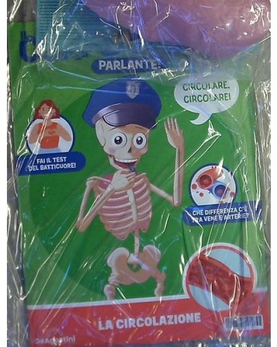 Costruisci Skelly - Il corpo umano parlante
