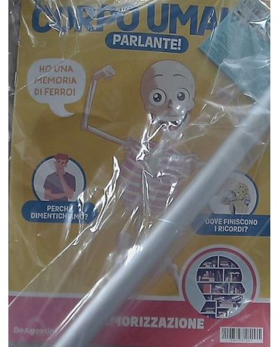 Costruisci Skelly - Il corpo umano parlante