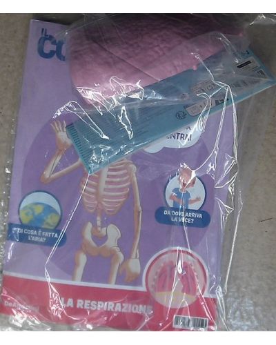 Costruisci Skelly - Il corpo umano parlante