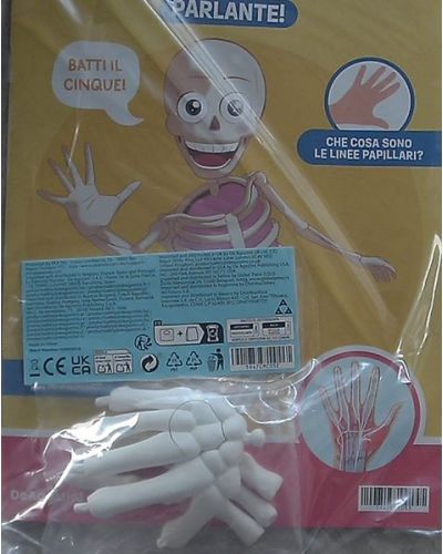 Costruisci Skelly - Il corpo umano parlante