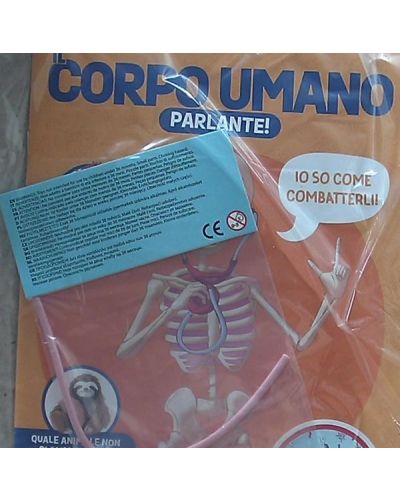 Costruisci Skelly - Il corpo umano parlante