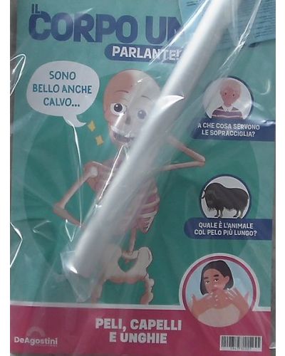 Costruisci Skelly - Il corpo umano parlante