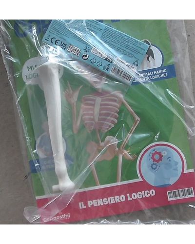 Costruisci Skelly - Il corpo umano parlante