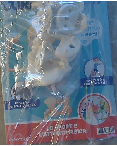 Costruisci Skelly - Il corpo umano parlante