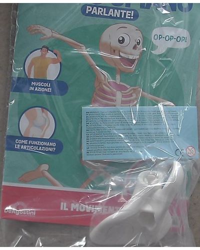 Costruisci Skelly - Il corpo umano parlante