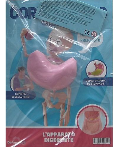 Costruisci Skelly - Il corpo umano parlante
