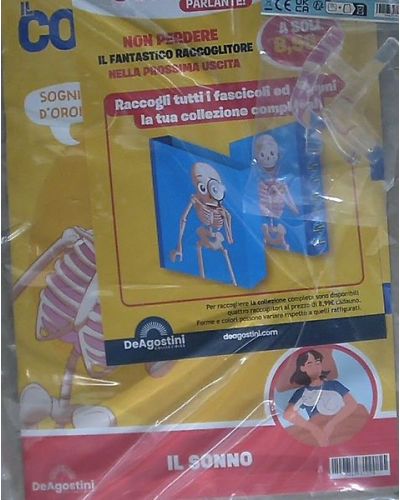 Costruisci Skelly - Il corpo umano parlante