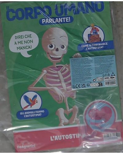 Costruisci Skelly - Il corpo umano parlante