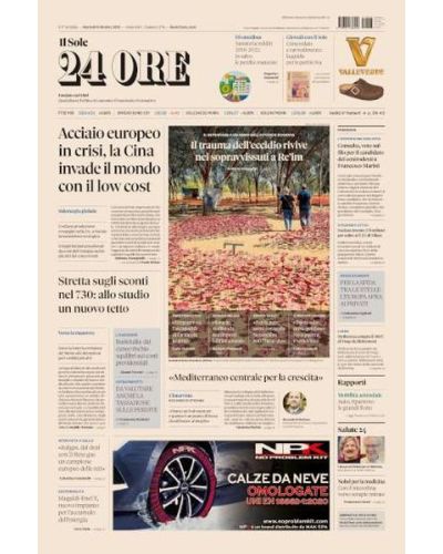 Il Sole 24 ORE - Quotidiano