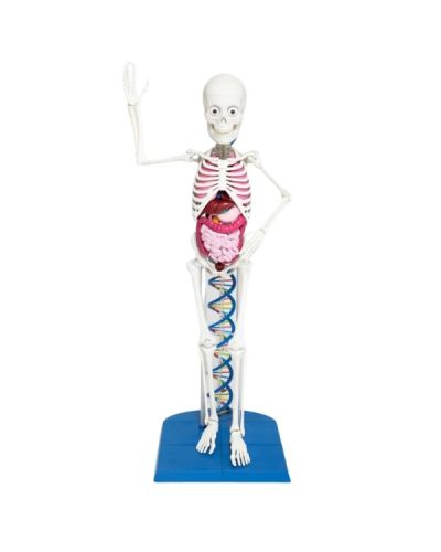 Base DNA superiore e inferiore con tag + 1 prolunga superiore con perno di fissaggio