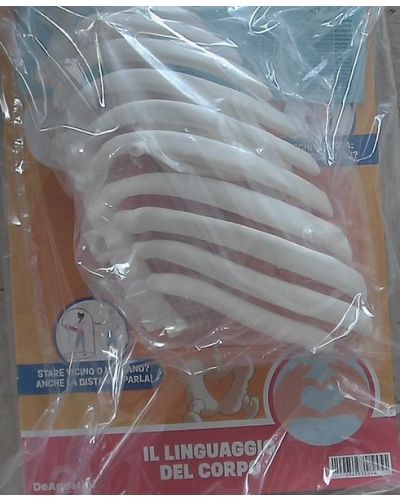 Costruisci Skelly - Il corpo umano parlante (ed. 2025)