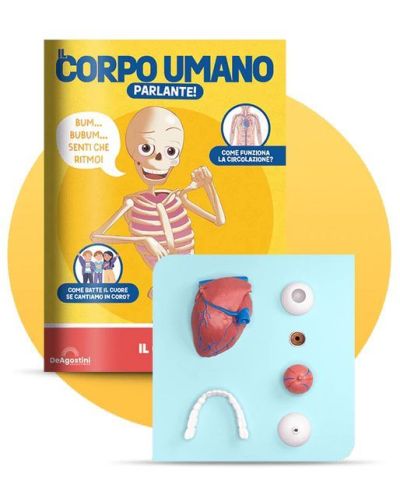 Costruisci Skelly - Il corpo umano parlante (ed. 2025)