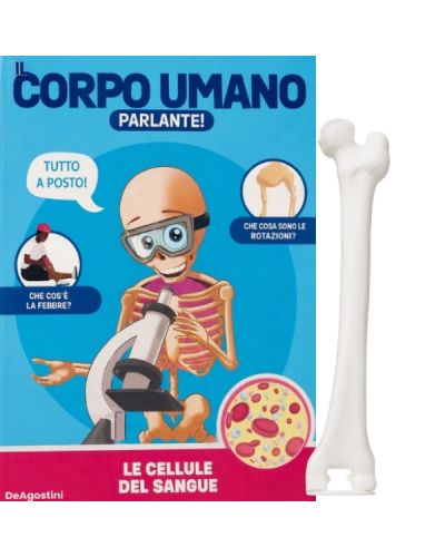 Costruisci Skelly - Il corpo umano parlante (ed. 2025)