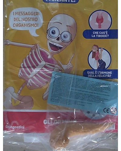 Costruisci Skelly - Il corpo umano parlante (ed. 2025)