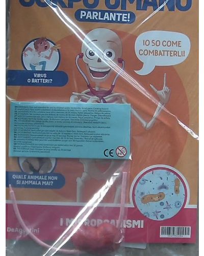 Costruisci Skelly - Il corpo umano parlante (ed. 2025)