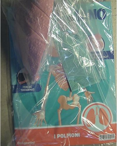 Costruisci Skelly - Il corpo umano parlante (ed. 2025)