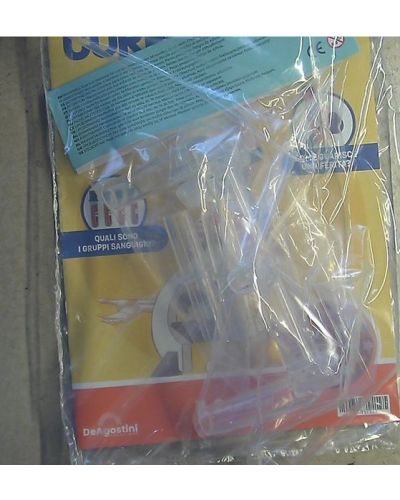 Costruisci Skelly - Il corpo umano parlante (ed. 2025)