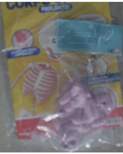 Costruisci Skelly - Il corpo umano parlante (ed. 2025)