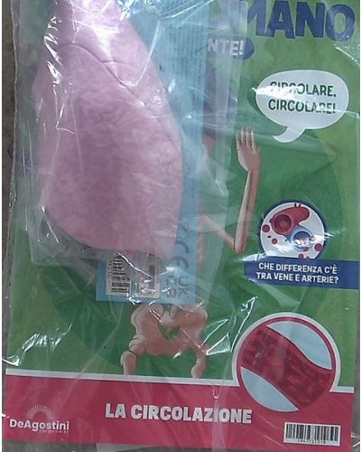 Costruisci Skelly - Il corpo umano parlante (ed. 2025)