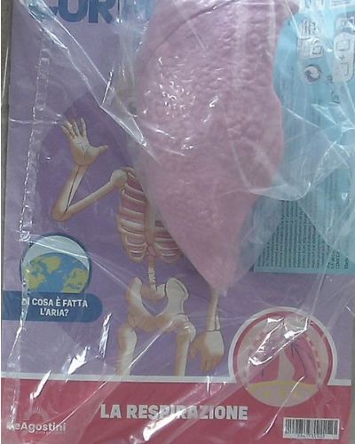 Costruisci Skelly - Il corpo umano parlante (ed. 2025)