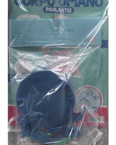 Costruisci Skelly - Il corpo umano parlante (ed. 2025)