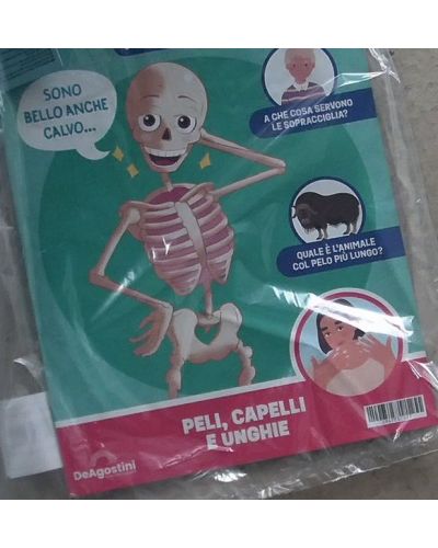 Costruisci Skelly - Il corpo umano parlante (ed. 2025)