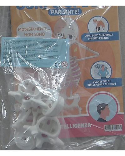 Costruisci Skelly - Il corpo umano parlante (ed. 2025)