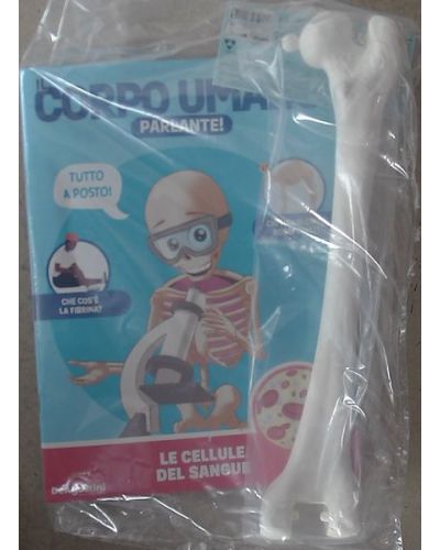 Costruisci Skelly - Il corpo umano parlante