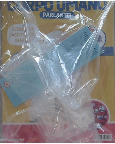 Costruisci Skelly - Il corpo umano parlante